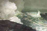 Winslow Homer Northeaster (mk44) Spain oil painting artist